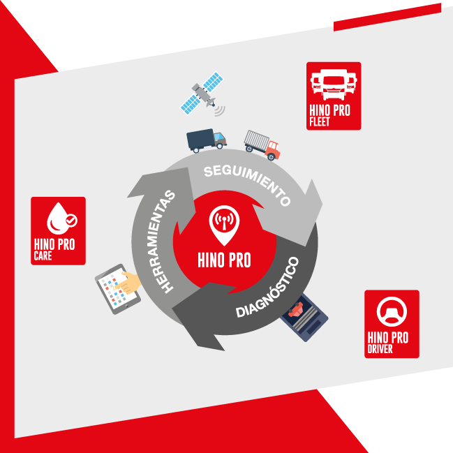 Gráfico de procedimiento HinoPro